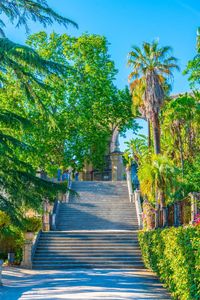 jardim-botanica-aan-de-universidade-de-coimbra